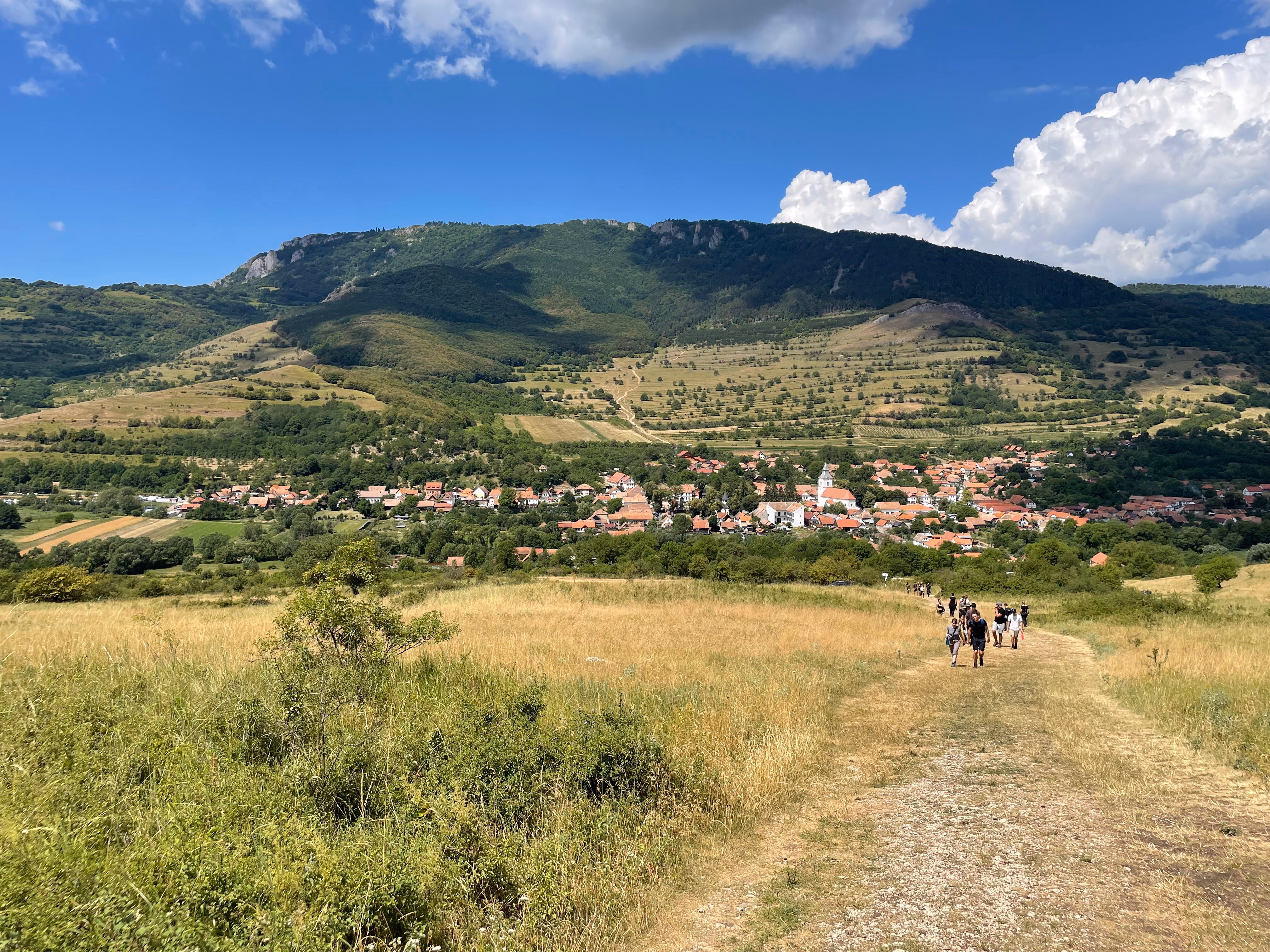 Vârful Ardășcheia