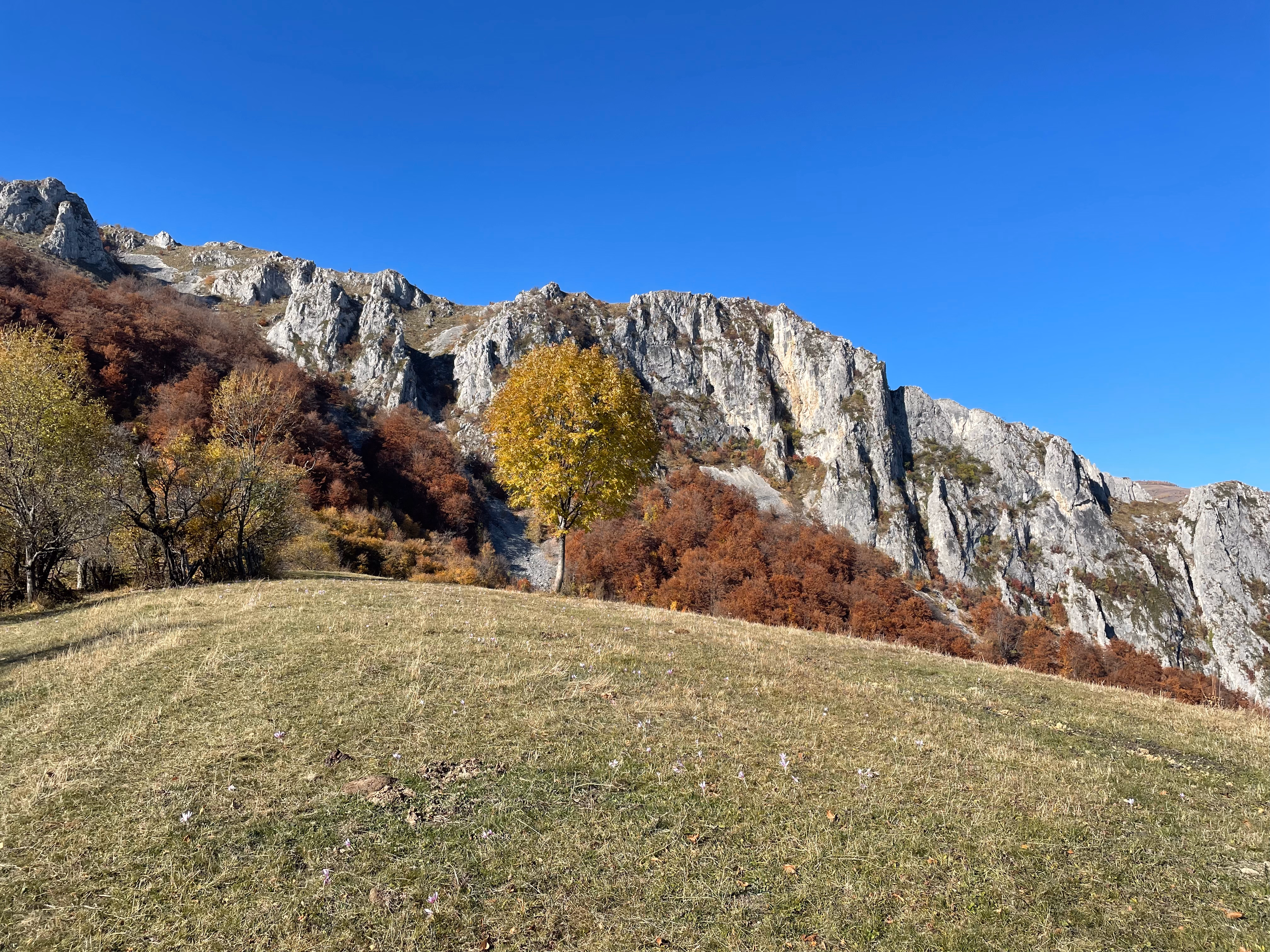 Peisaj din Apuseni
