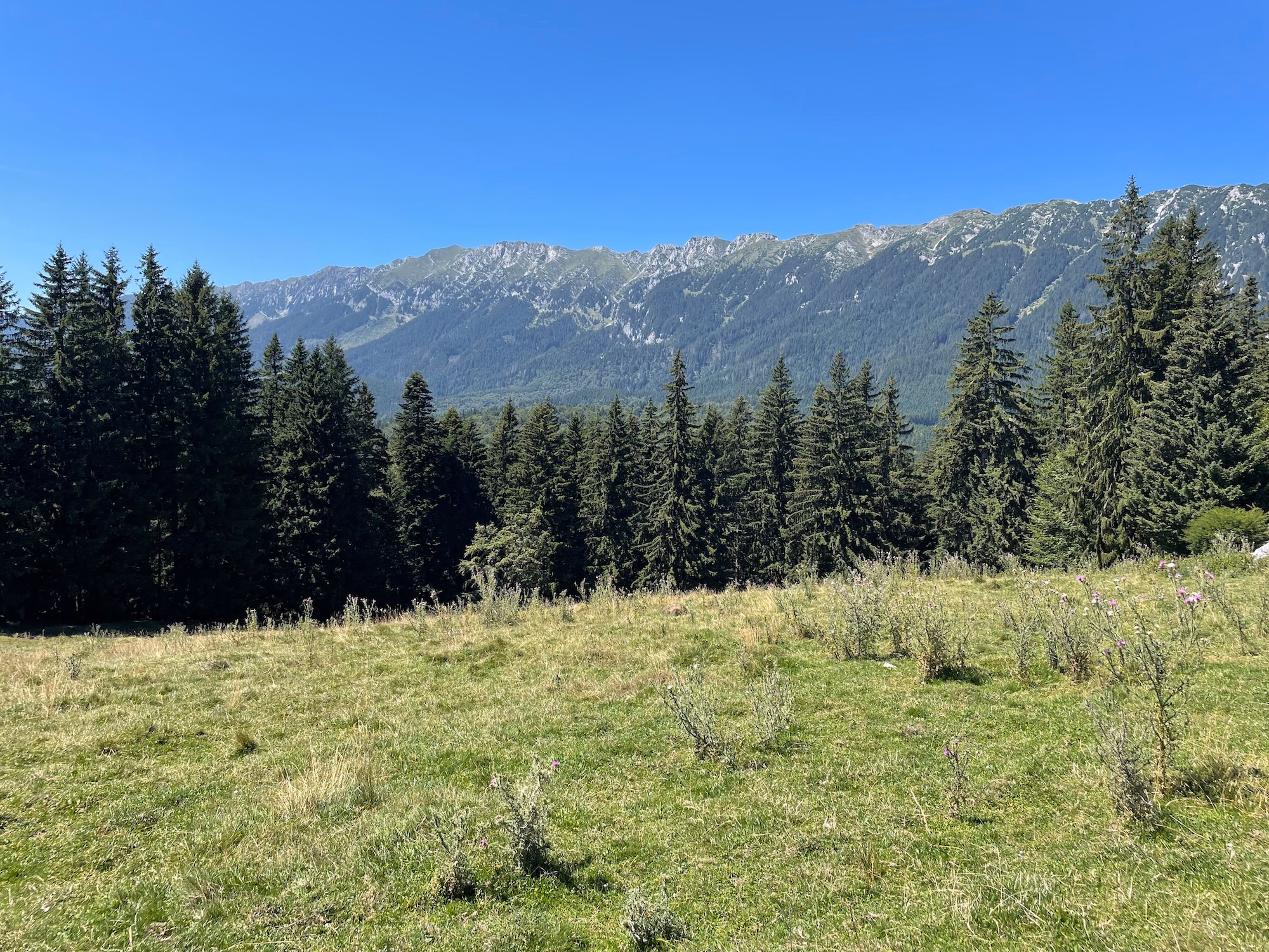 Cabana Curmătura