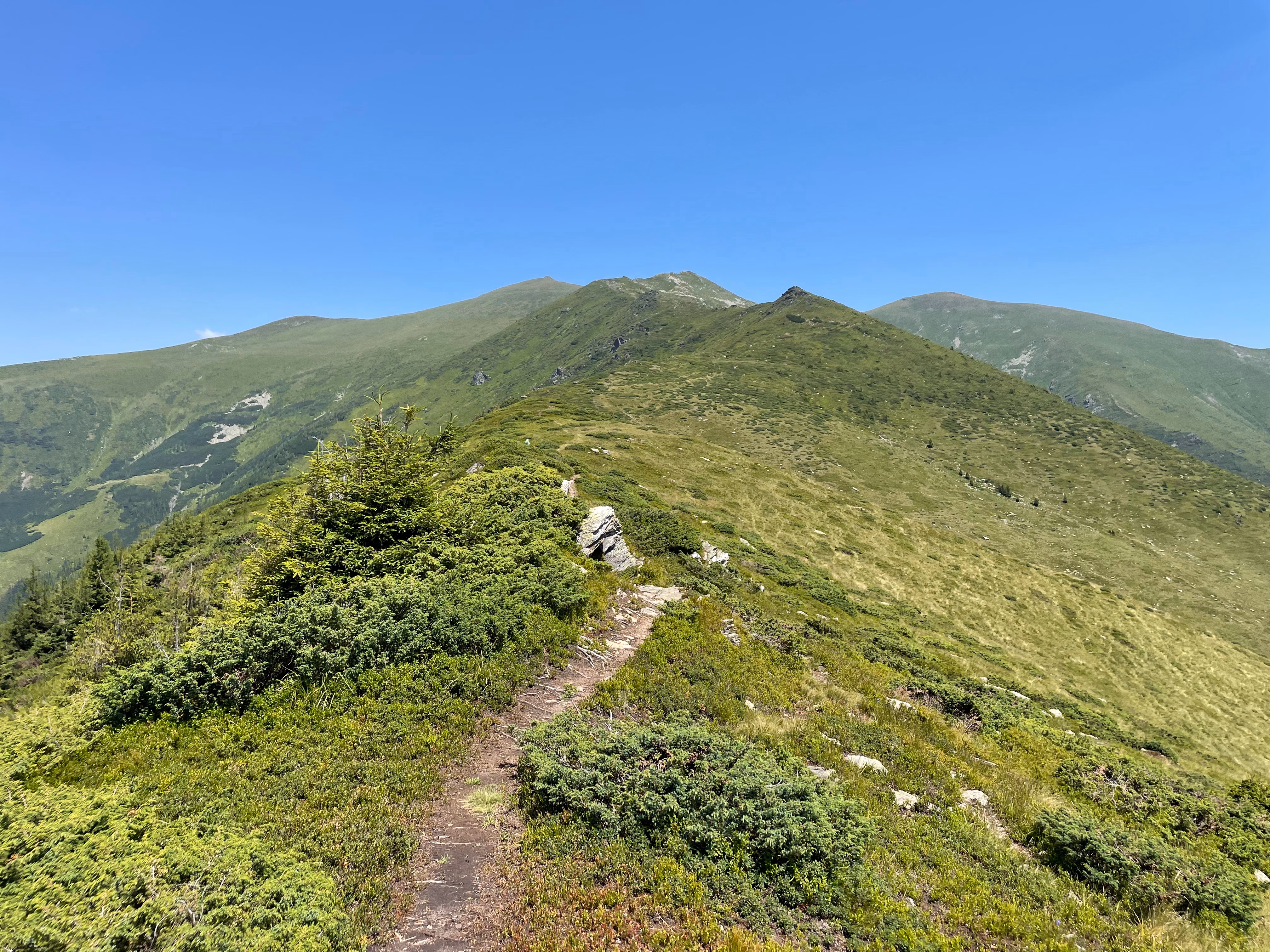 Vârful Ineu din Valea Vinului
